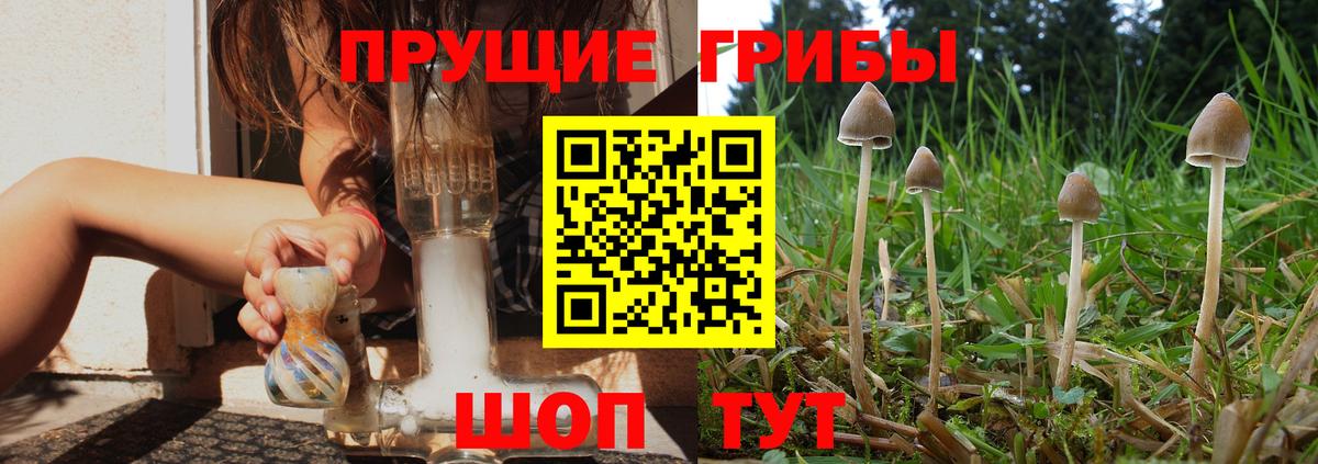 Галлюциногенные грибы GOLDEN TEACHER Обнинск